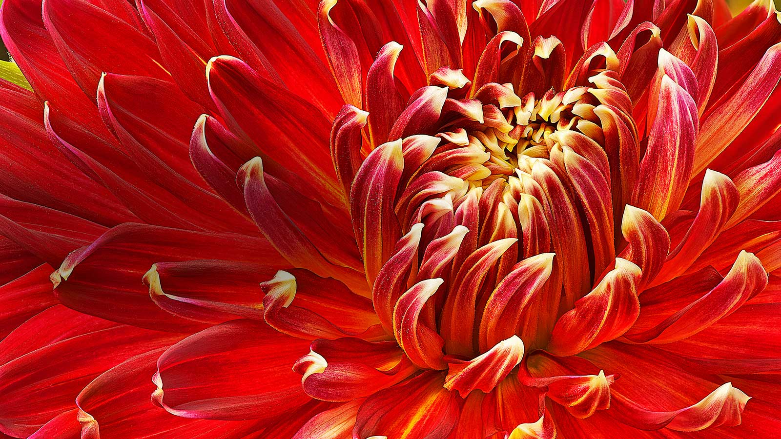 Tehnologie Full HD la un nou nivel