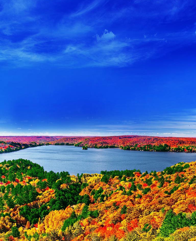 Procesor Quad Core,Imagini pline de viață