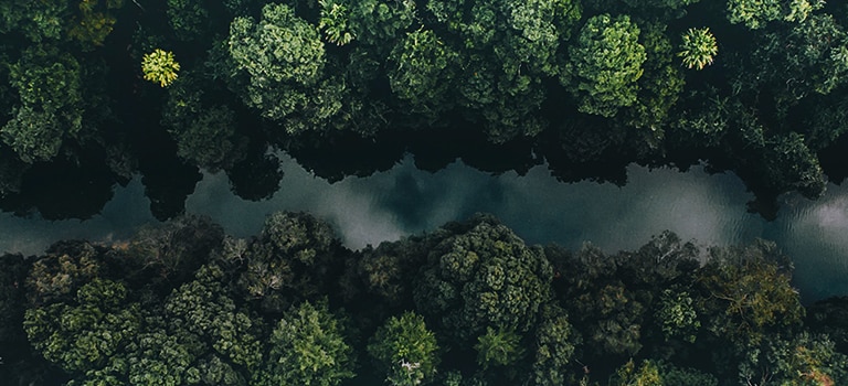 procesorul inteligent</br> α92