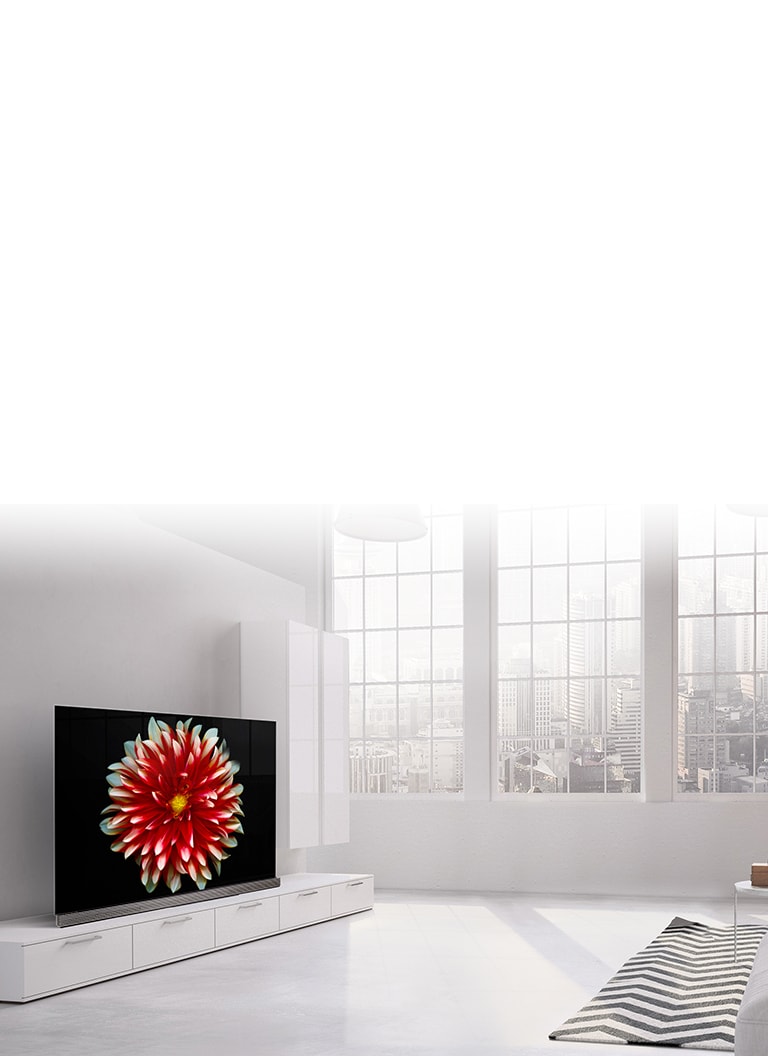 Calitatea superioara a imaginii<br>2