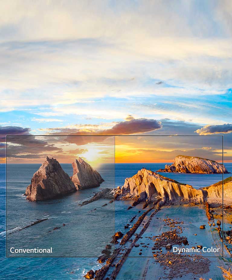 Culori dinamice<br>2