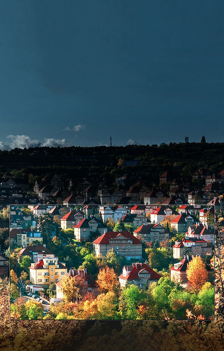 Culori spectaculoase prin ecranul NanoCell™<br>2