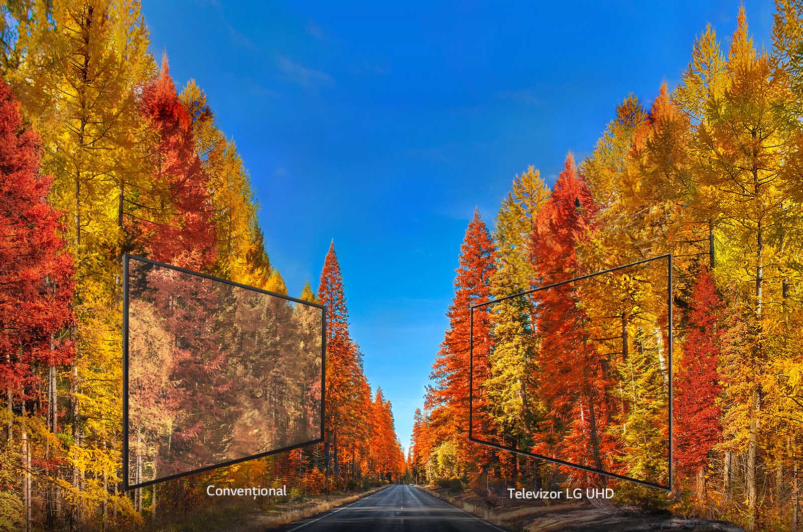 Imagini consecvente din orice unghi<br>1