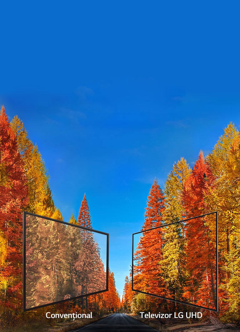 Imagini consecvente la orice unghi<br>2