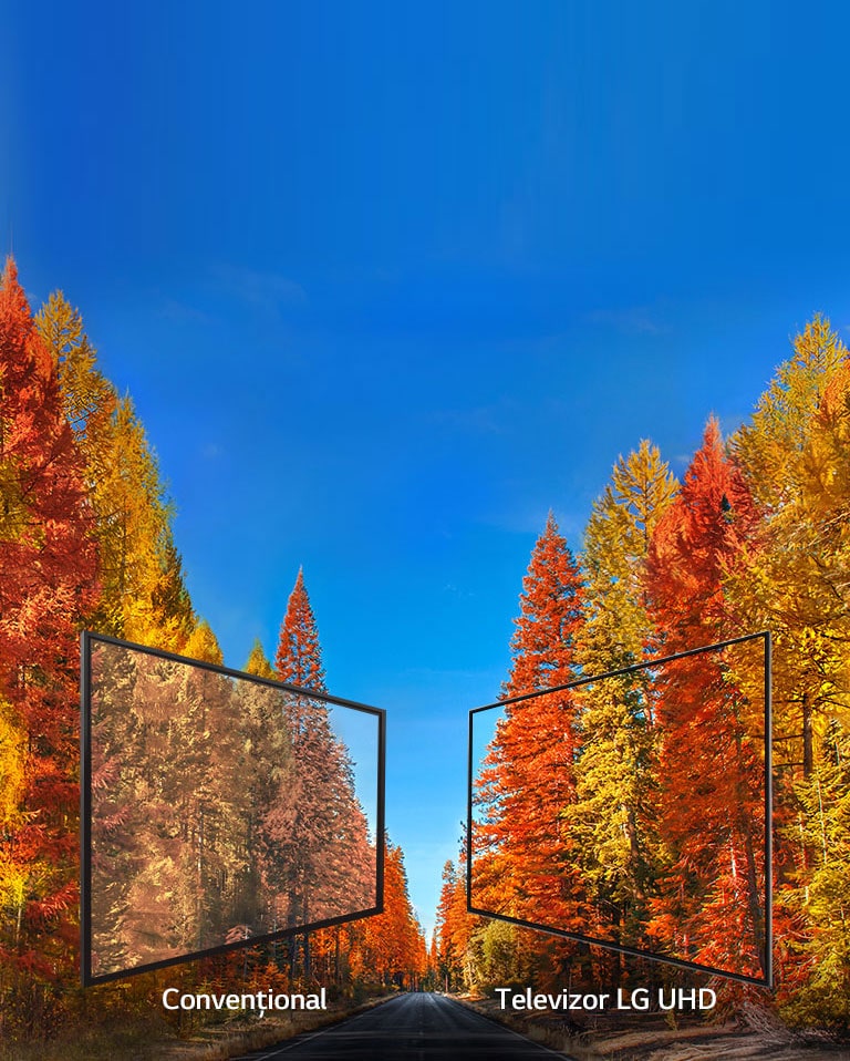 Imagini consecvente din orice unghi<br>2