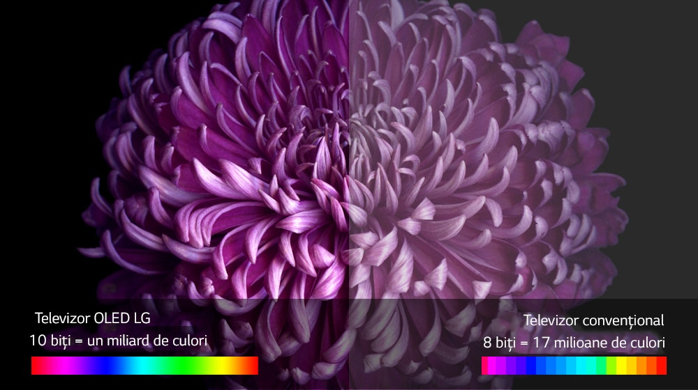 04_W7_A_PerfectColoronPerfectBlack(sub)