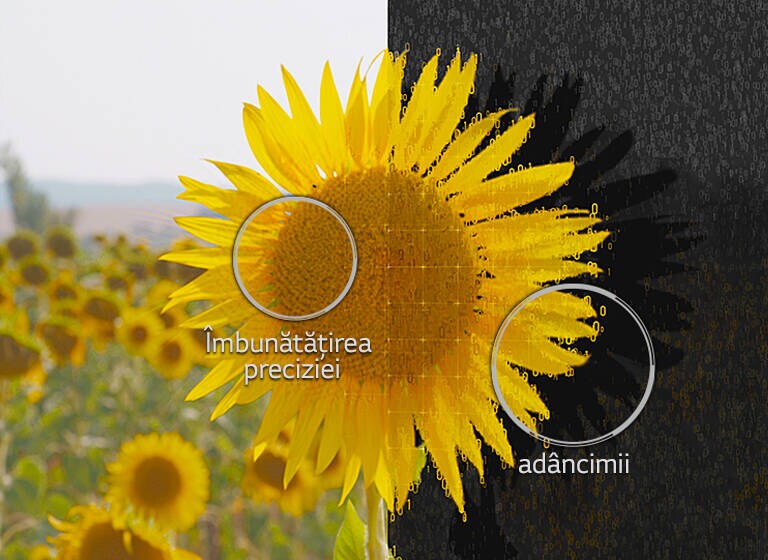 Funcția de îmbunătățire a adâncimii obiectelor2