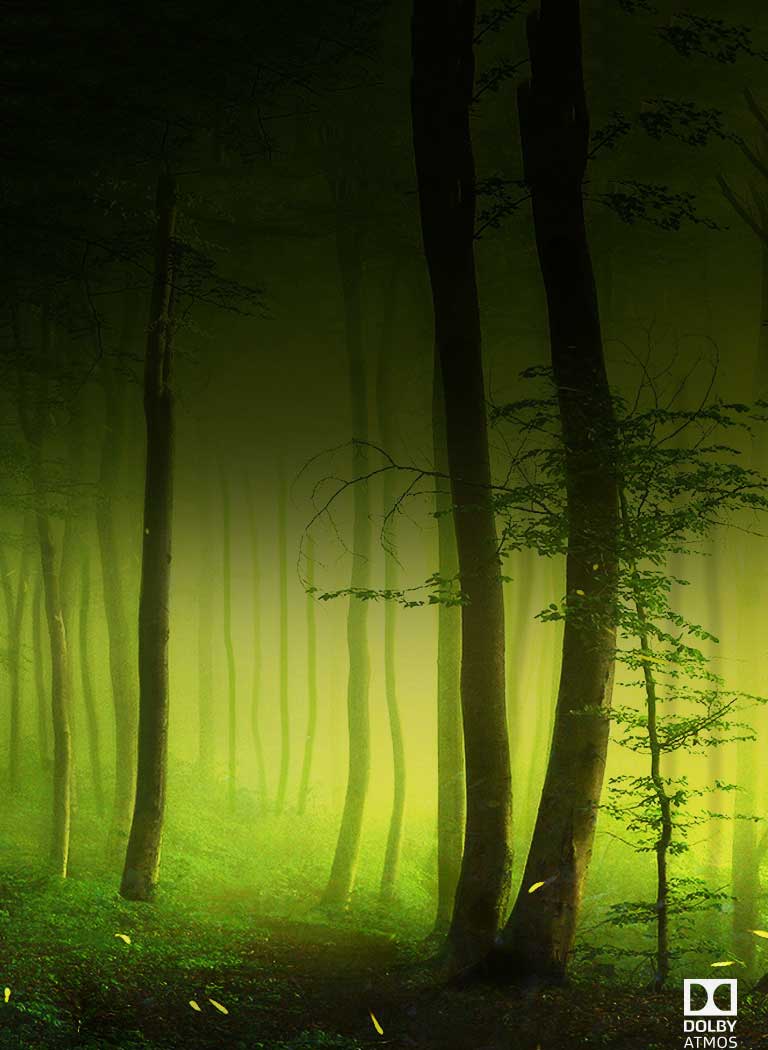 Dolby Atmos®<br>Sunet cinematic acasă<br>2