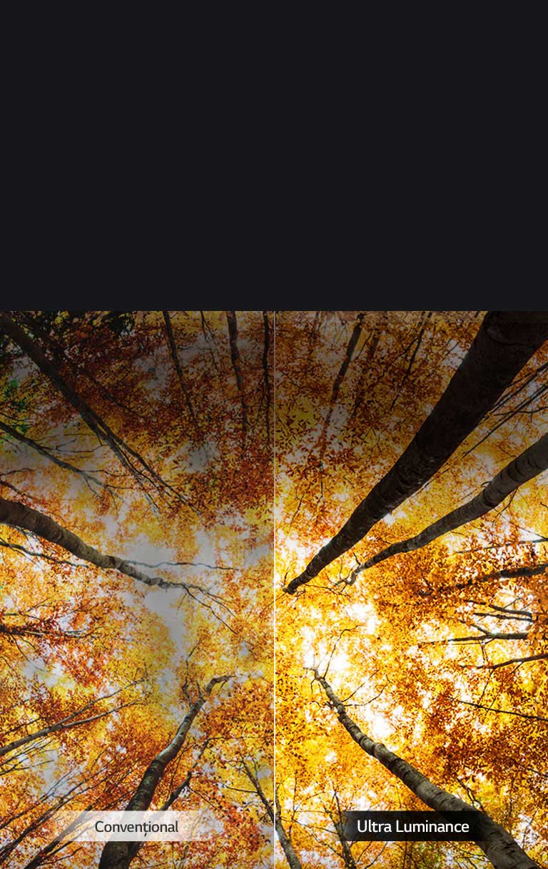 Luminozitate maximă amplificată<br>2