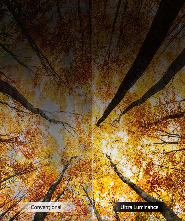 Luminozitate maximă amplificată<br>2