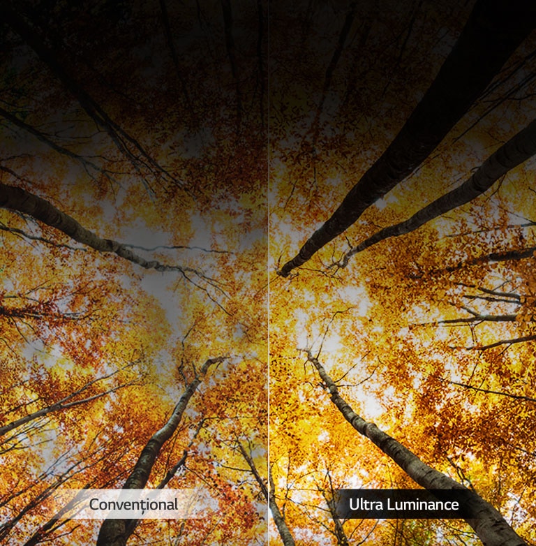 Luminozitate amplificată<br>2