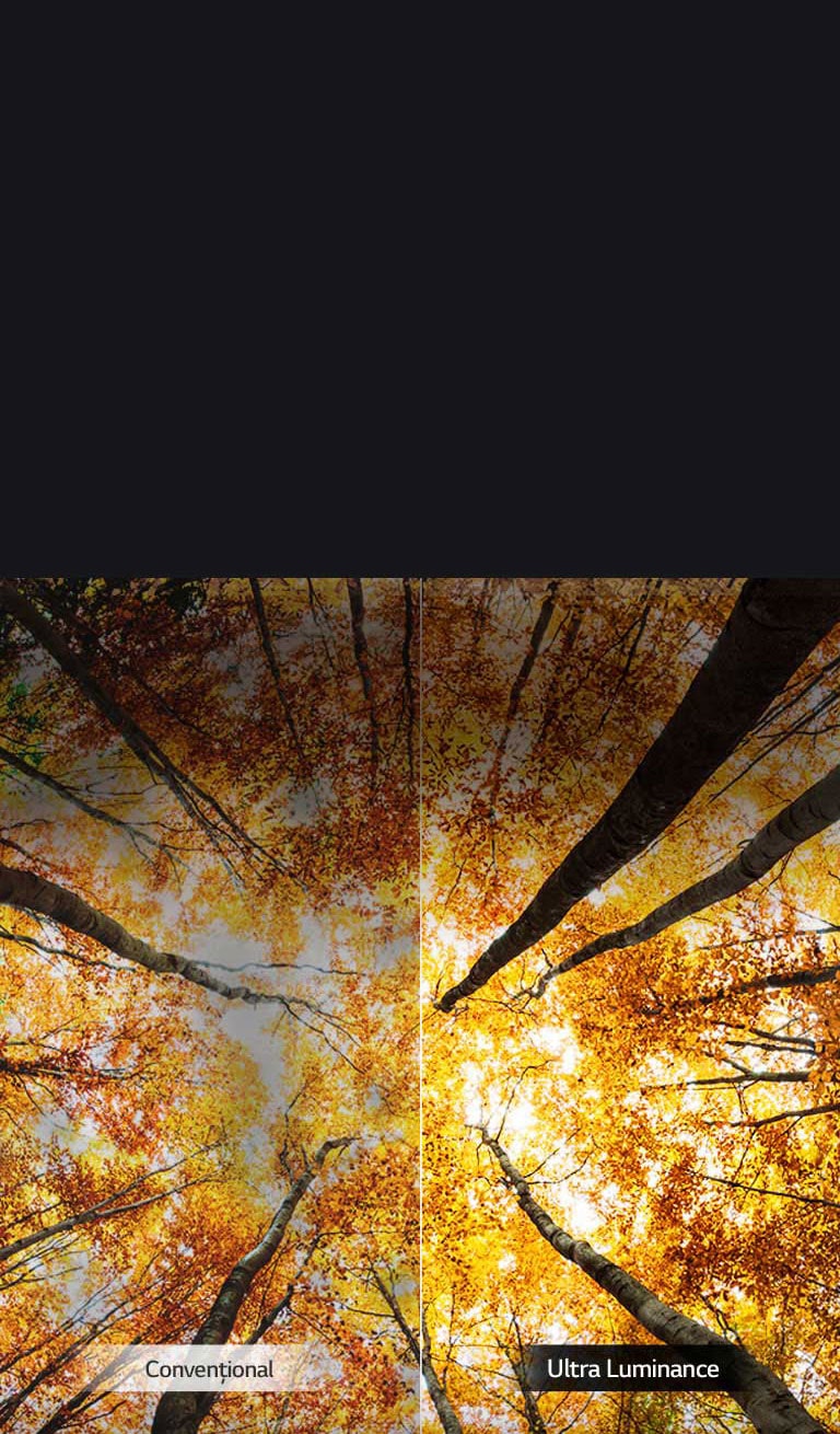 Luminozitate maximă amplificată<br>2