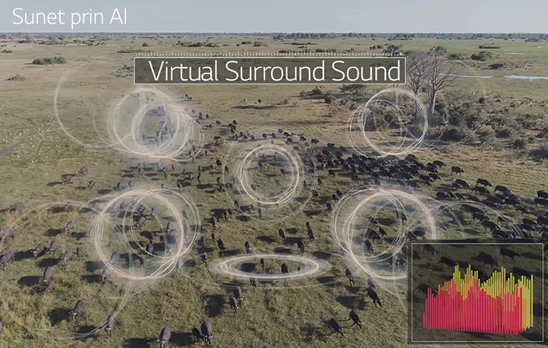 Calitatea sunetului reinventată4