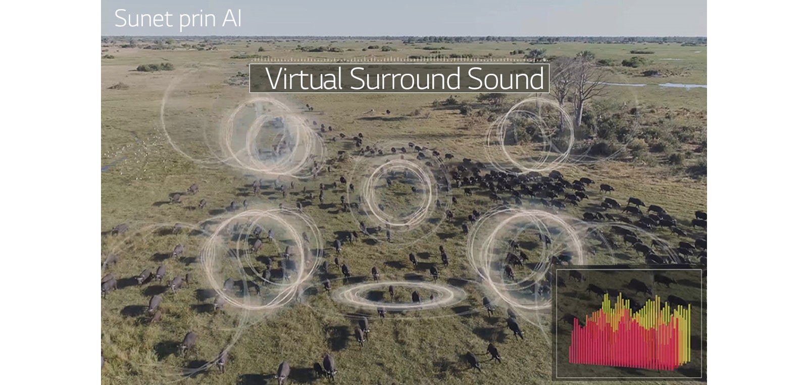 Calitatea sunetului reinventată3