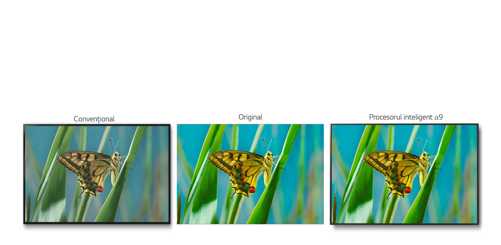 True Color Accuracy Pro1