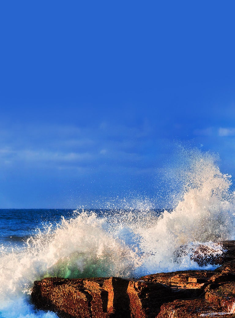  Tehnologia multicanal<br>2