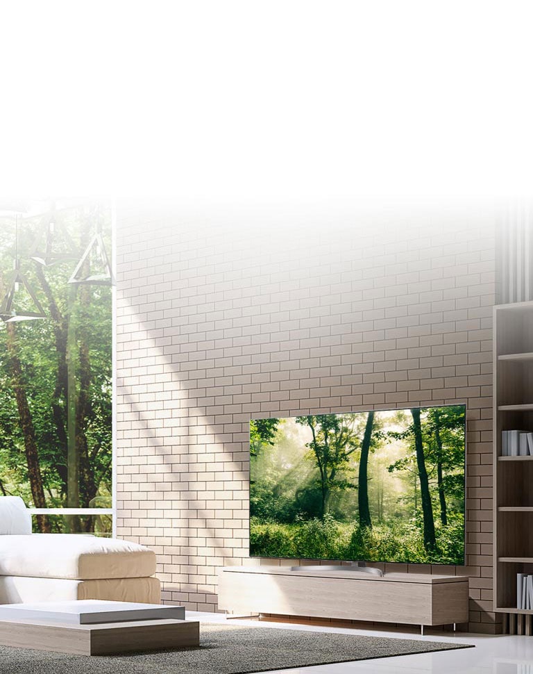 Ecran cinematografic fără limite2