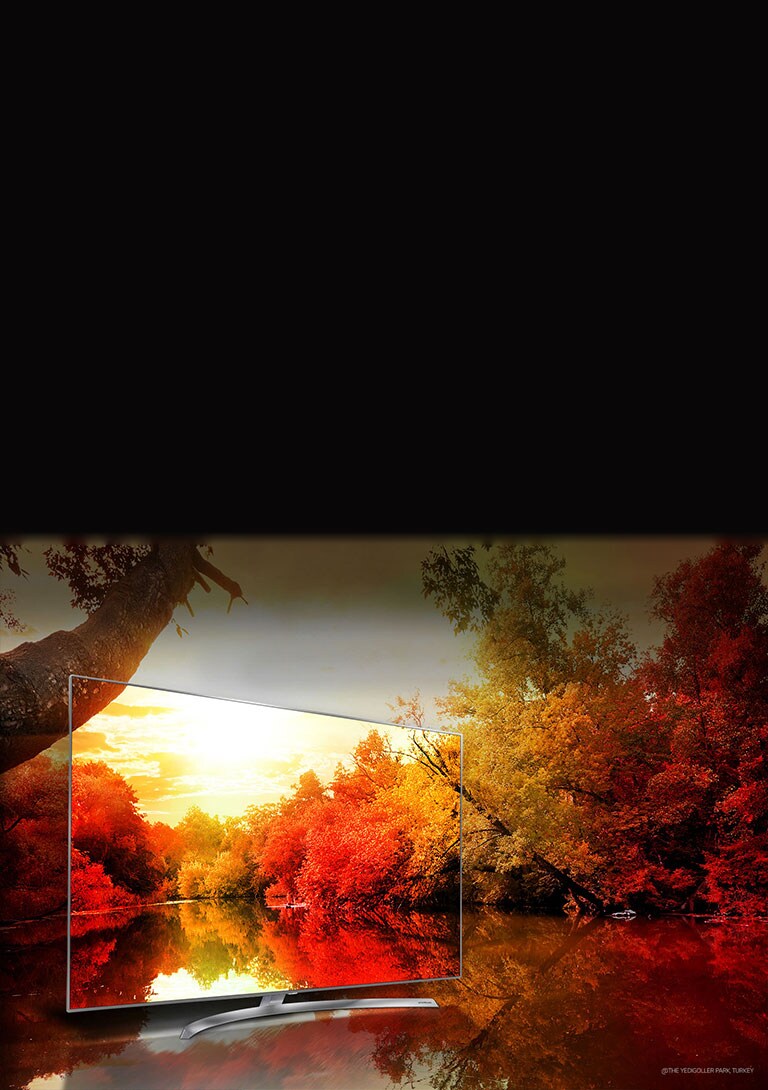 Billion Rich Colors<br>2