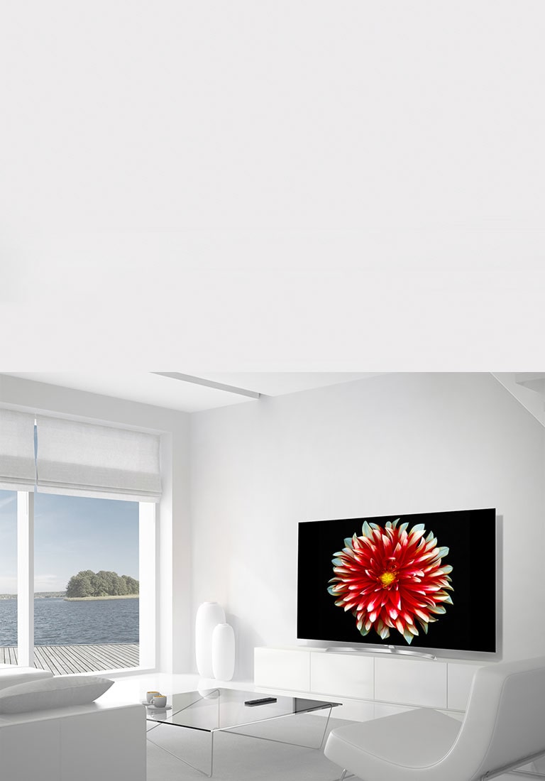 Calitatea superioara a imaginii<br>2