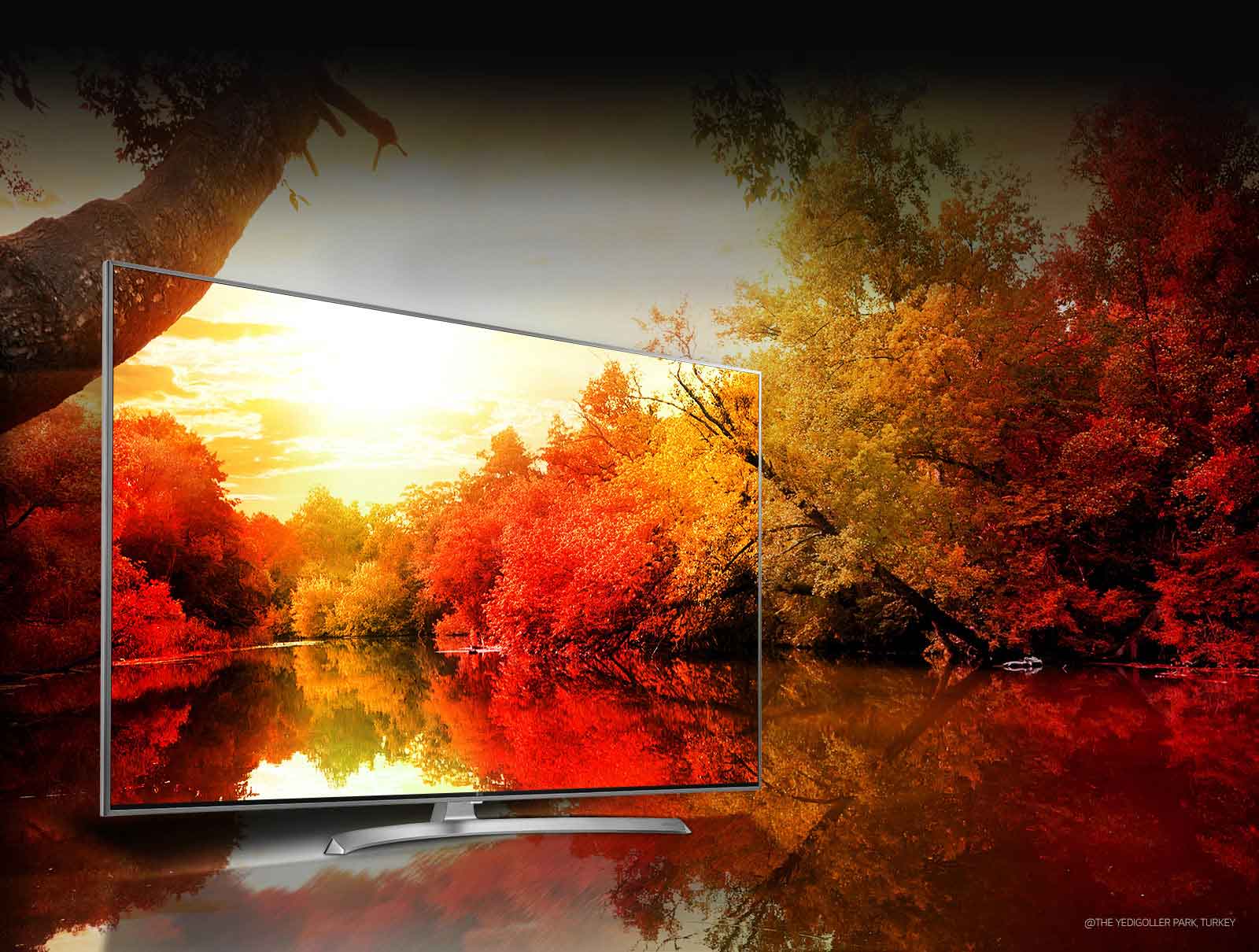 Billion Rich Colors<br>1