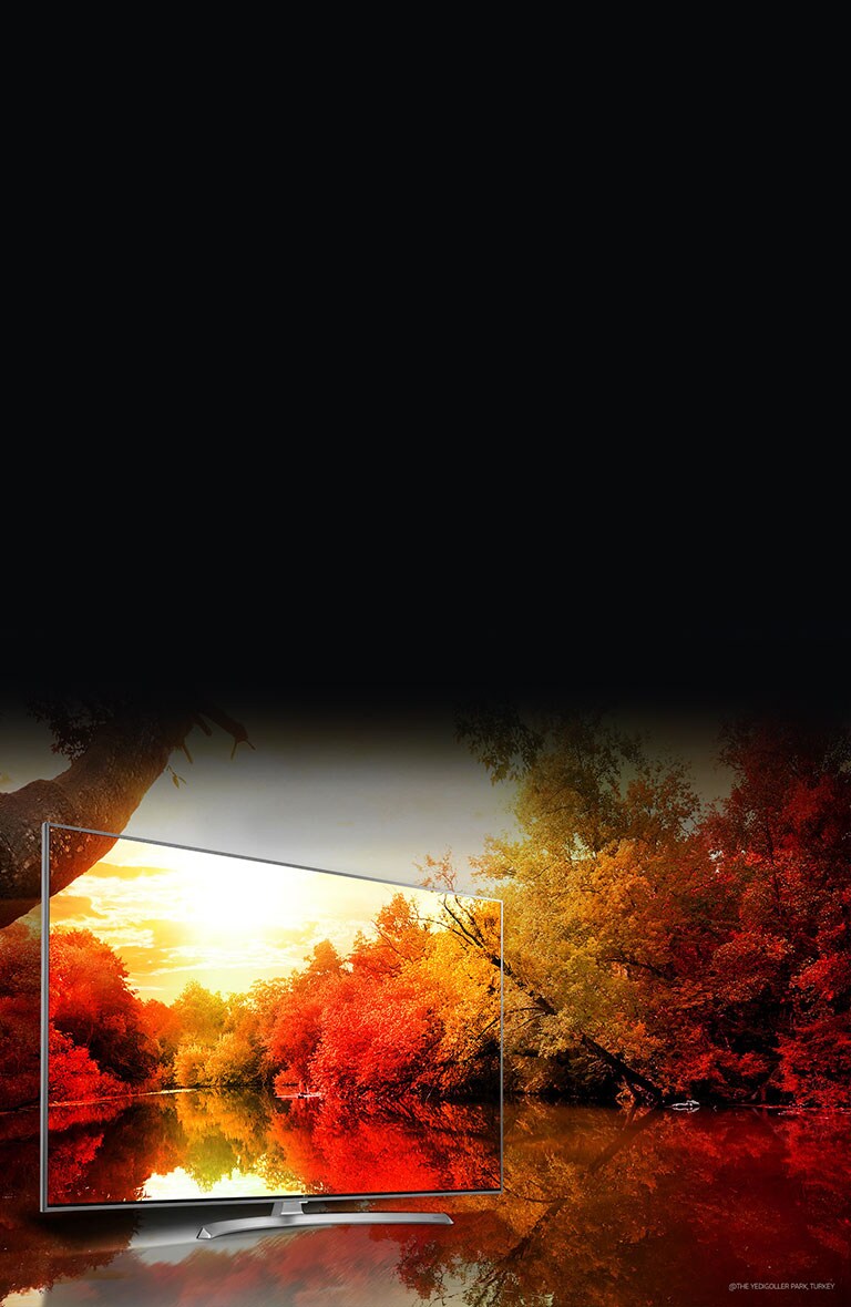 Billion Rich Colors<br>2