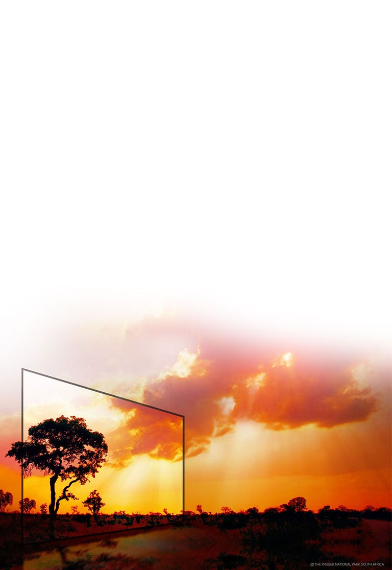 Tehnologie HDR Active & Dolby Vision<br>2