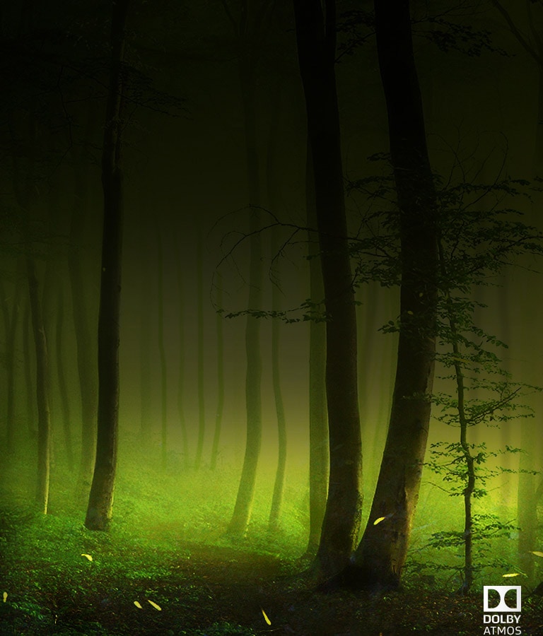 Dolby Atmos®<br>Sunet cinematic acasă<br>2