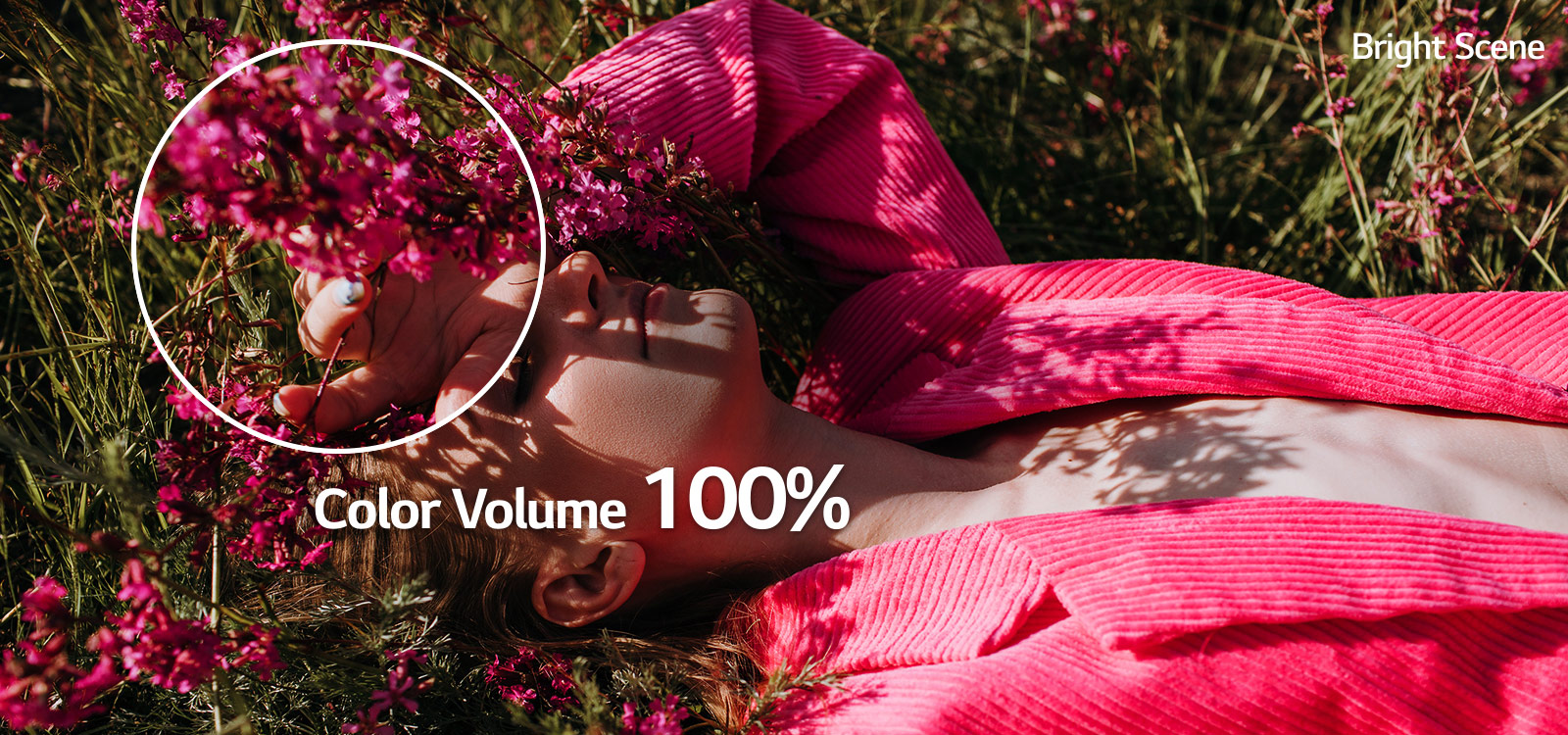 O afișare uimitoare a culorilor.6