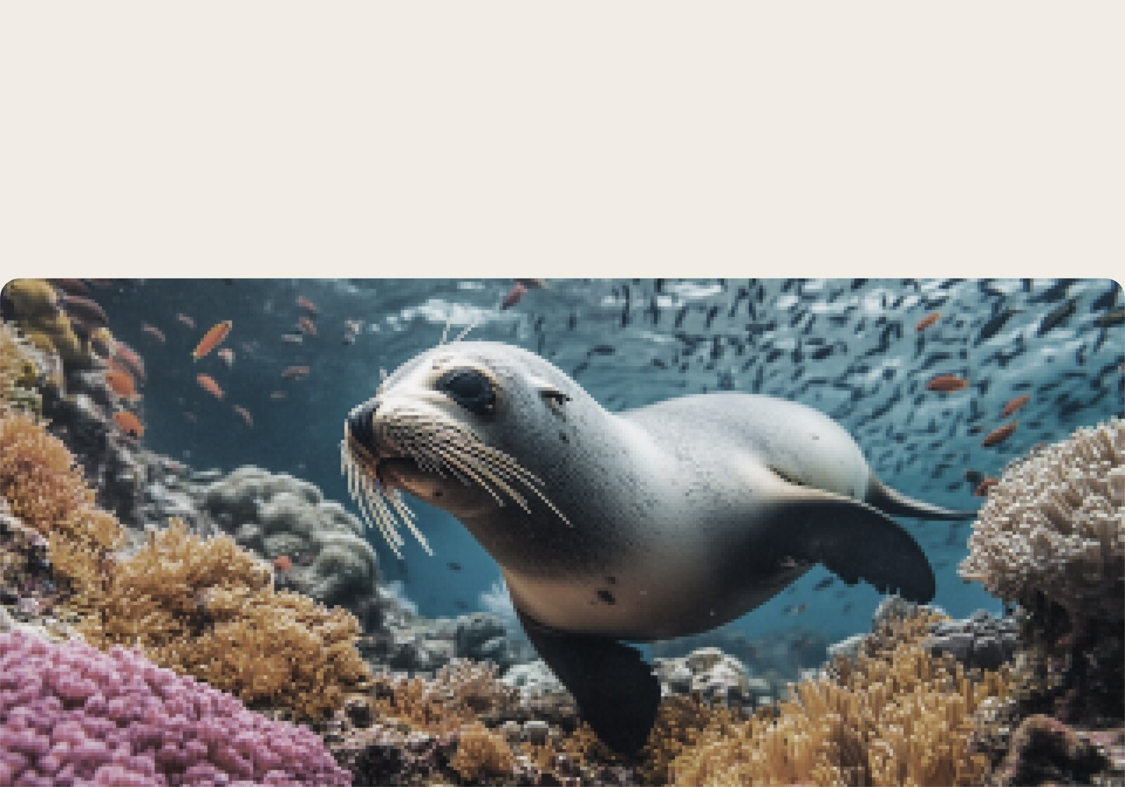 LG NANO 4K UHD AI NU85 cu 4K Super Upscaling afișează un portret în plan apropiat cu flori, în timp ce AI-ul rafinează fiecare cadru pentru a îmbunătăți textura pielii, detaliile fine și culorile naturale pentru o calitate vizuală 4K mai clară și mai realistă.
