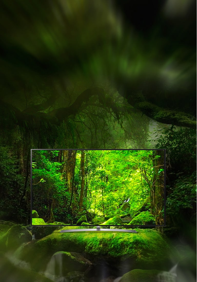 Dolby Atmos® vă aduce sunetul de cinema chiar la dvs. acasă