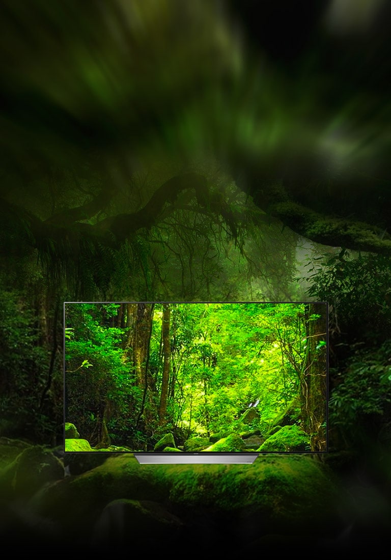 Creat pentru cei care apreciaza adevarata...2