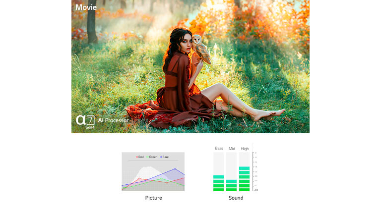 Două scene optimizate automat atât în imagine, cât și în sunet de procesorul AI a7 Gen4 (redați videoclipul)