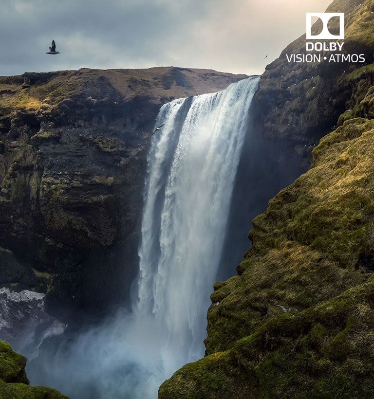 Dolby Vision și Atmos Experiență cinematografică2