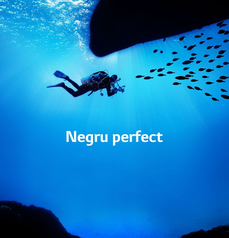 Imaginile prind viață.2