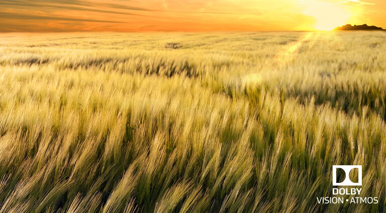 Dolby Vision și Atmos<br>2