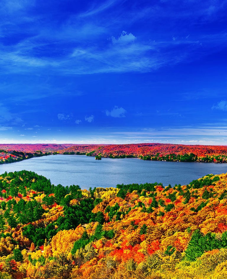 Procesor Quad Core<br>Originea imaginilor 4K2