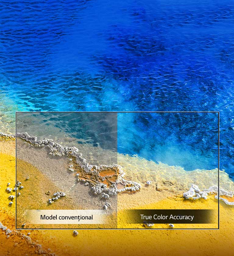 True Color Accuracy2