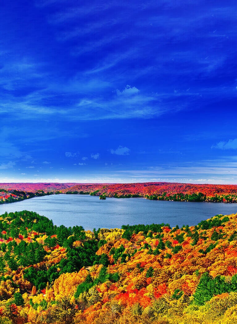 Procesor Quad Core,<br>Imagini pline de viață2