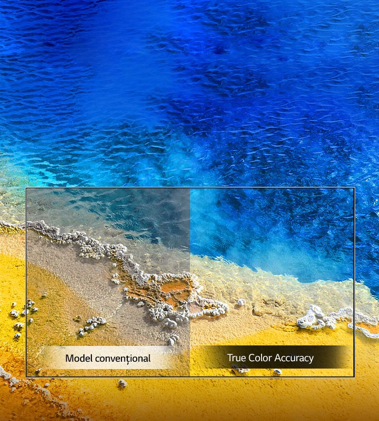True Color Accuracy2