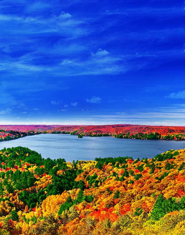 Procesor Quad Core,<br>Imagini pline de viață2