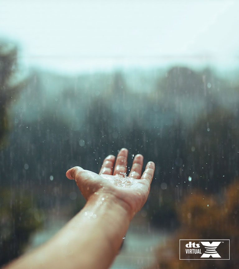 DTS Virtual:X<br>Sunet clar si intens2