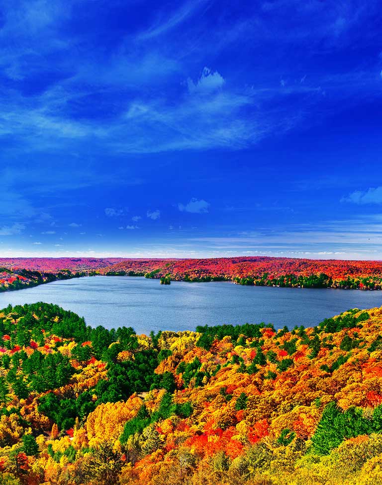 Procesor Quad Core, Imagini pline de viață2