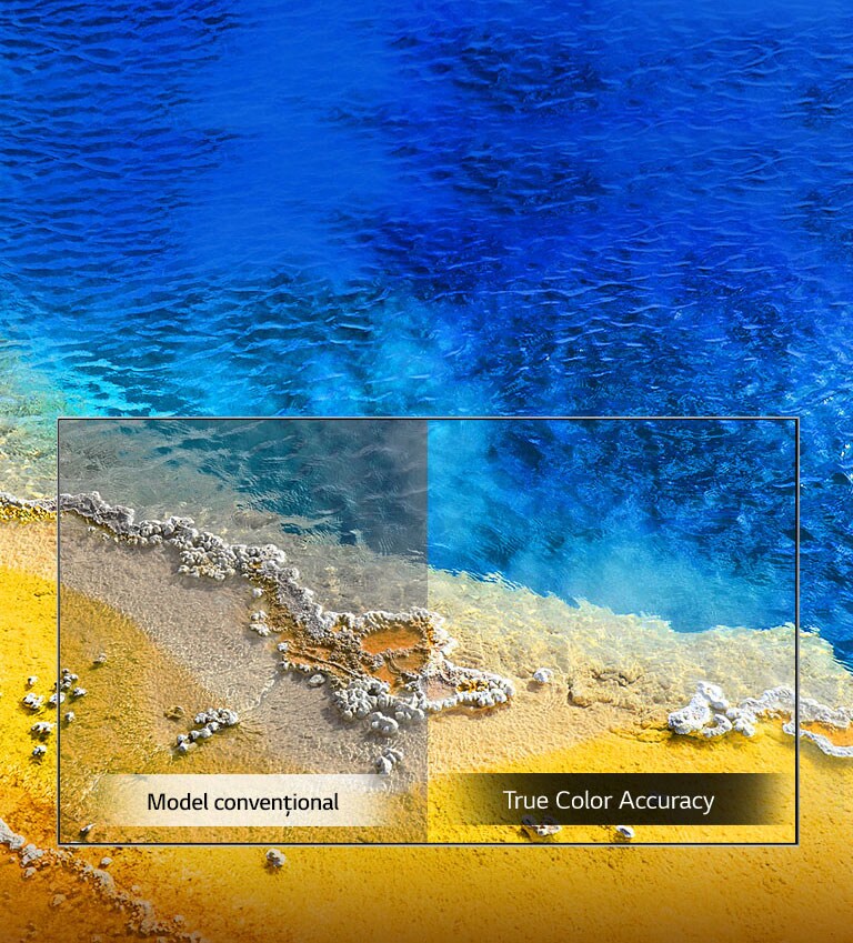 True Color Accuracy2