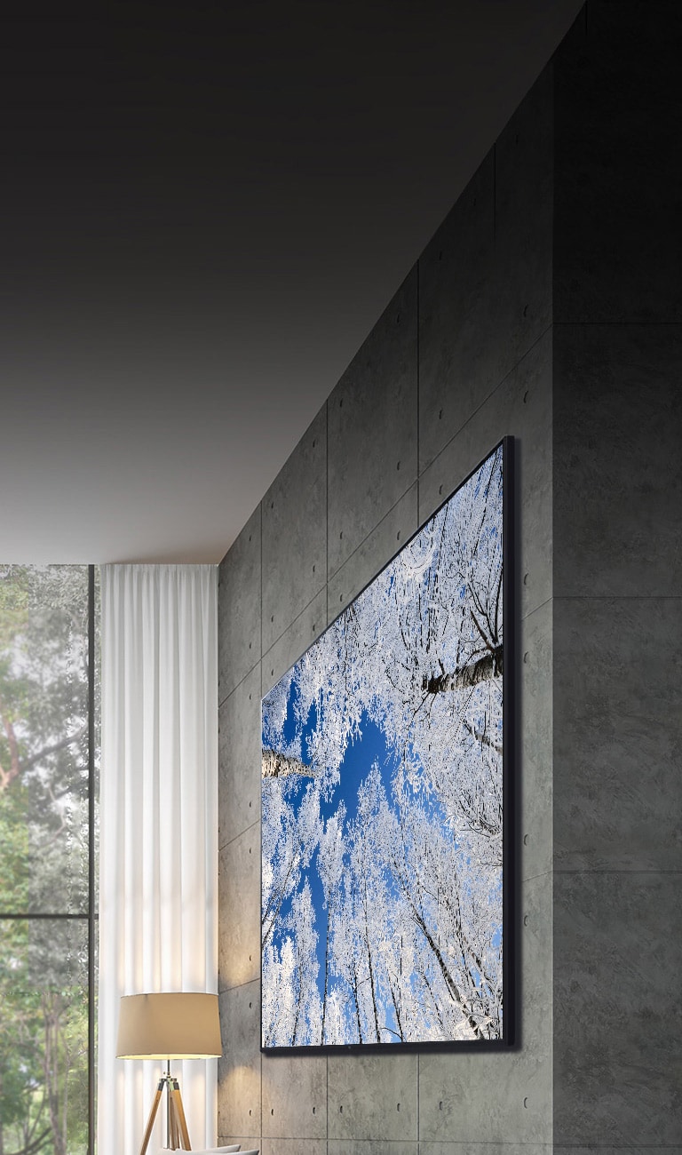 Camera se deplasează de la un prim-plan cu partea de sus a televizorului, până la un prim-plan cu fața televizorului. Pe ecranul televizorul este afișată aurora verde. Camera se îndepărtează pentru a arăta un spațiu foarte amplu dintr-o cameră de zi. Camera de zi este integral gri și se vede o pădure prin fereastra de afară.