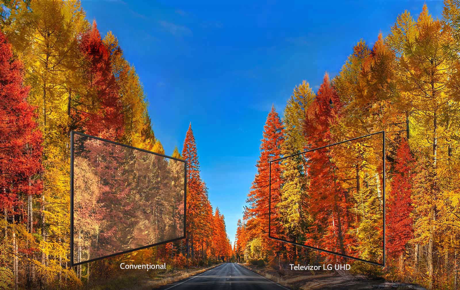  Imagini consecvente din orice unghi<br>1