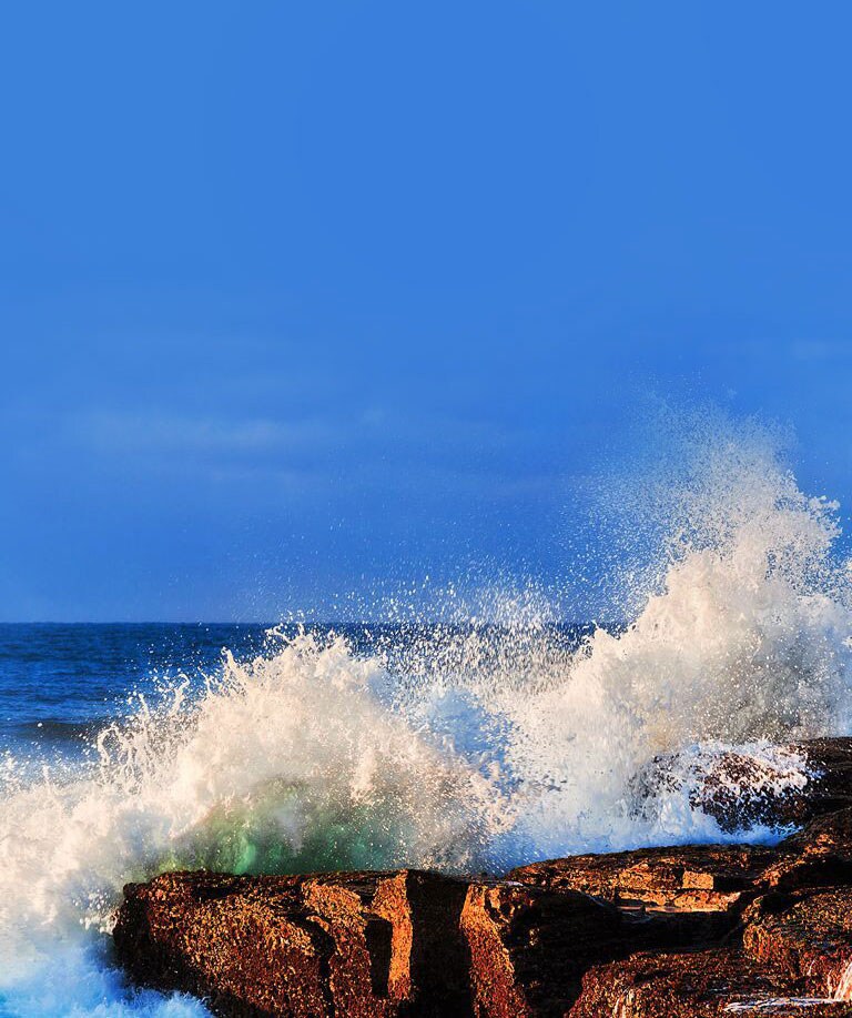 Tehnologia multicanal<br>2