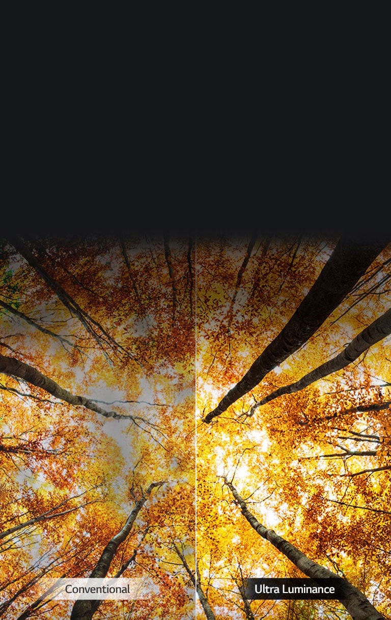 Luminozitate amplificată<br>2