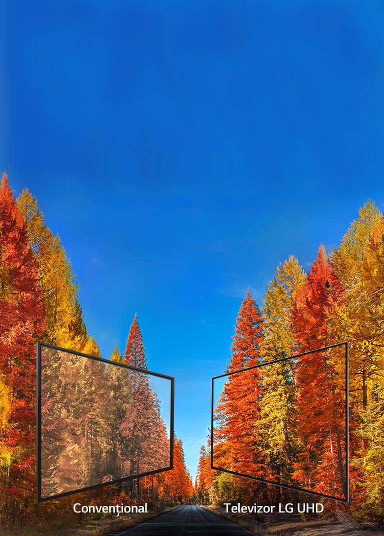 Imagini consecvente din orice unghi<br>2