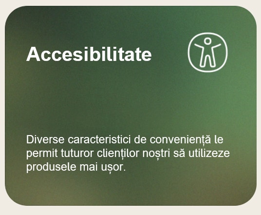 accesibilitate%201%20copy