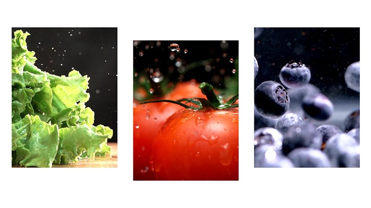 Fruits and vegetables such as lettuce, tomatoes, and blueberries are freshly preserved in the product.